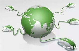 關注這十大農業戰略，讓農民朋友的錢包鼓起來